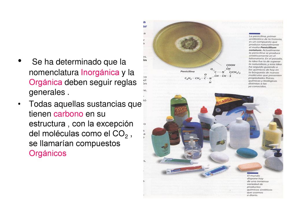 Se ha determinado que la nomenclatura Inorgánica y la Orgánica deben seguir reglas generales .