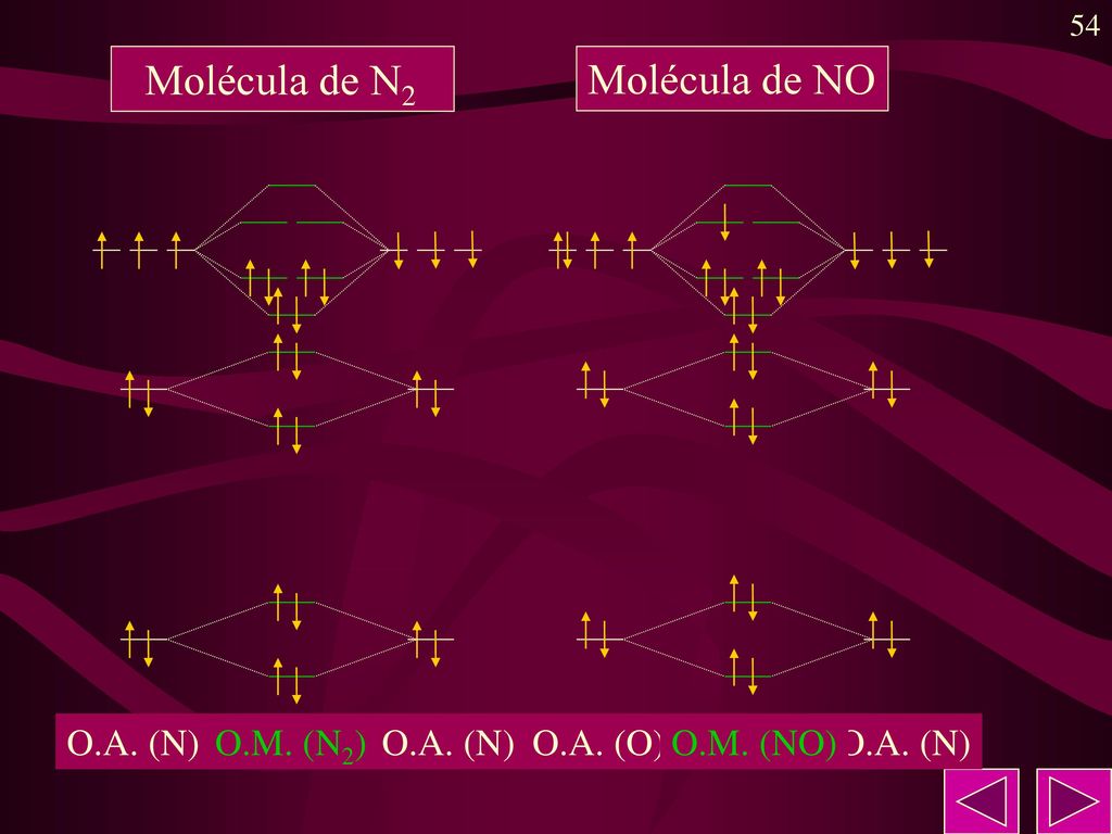 Molécula de N2 Molécula de NO O.A. (N) O.M. (N2) O.A. (N) O.A. (O)