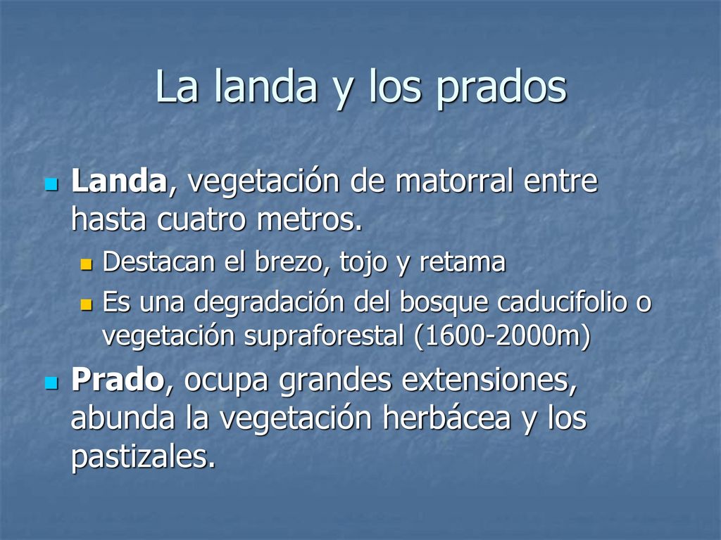 La landa y los prados Landa, vegetación de matorral entre hasta cuatro metros. Destacan el brezo, tojo y retama.