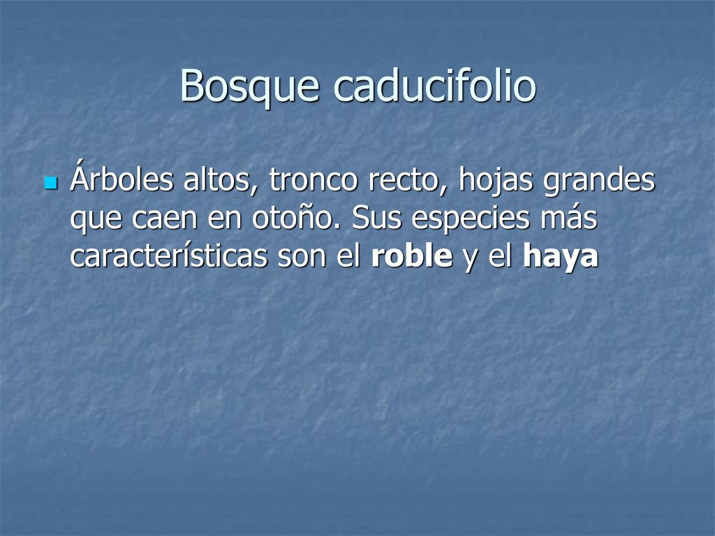 Bosque caducifolio Árboles altos, tronco recto, hojas grandes que caen en otoño.