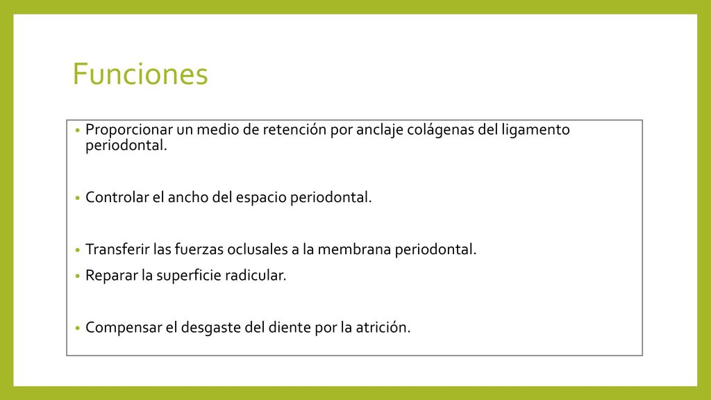 Funciones Proporcionar un medio de retención por anclaje colágenas del ligamento periodontal. Controlar el ancho del espacio periodontal.
