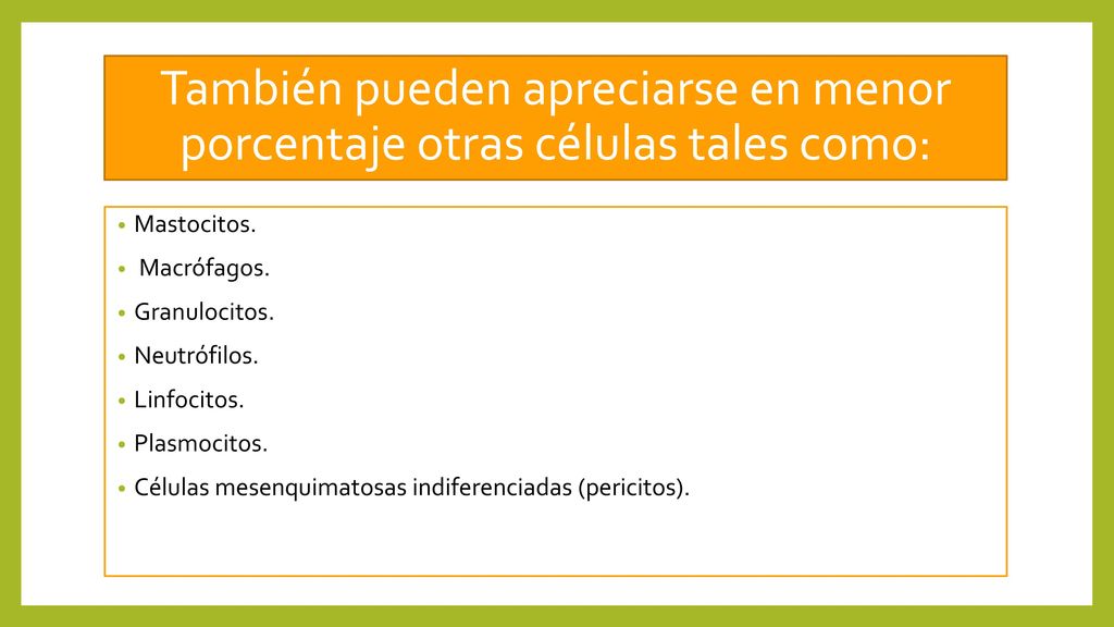 También pueden apreciarse en menor porcentaje otras células tales como: