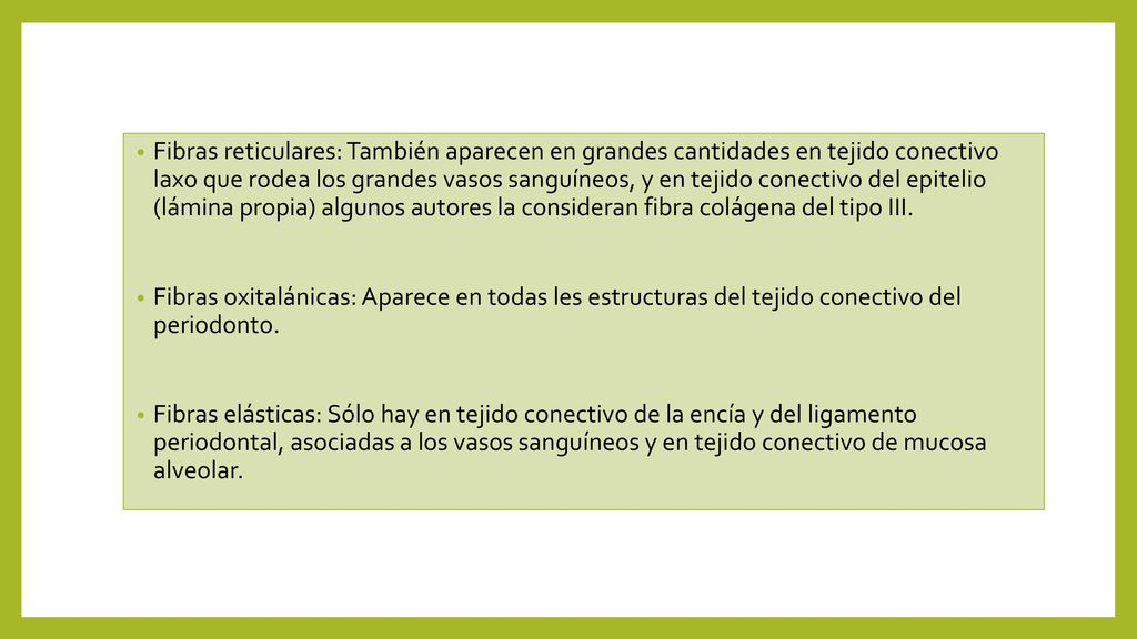 Fibras reticulares: También aparecen en grandes cantidades en tejido conectivo laxo que rodea los grandes vasos sanguíneos, y en tejido conectivo del epitelio (lámina propia) algunos autores la consideran fibra colágena del tipo III.