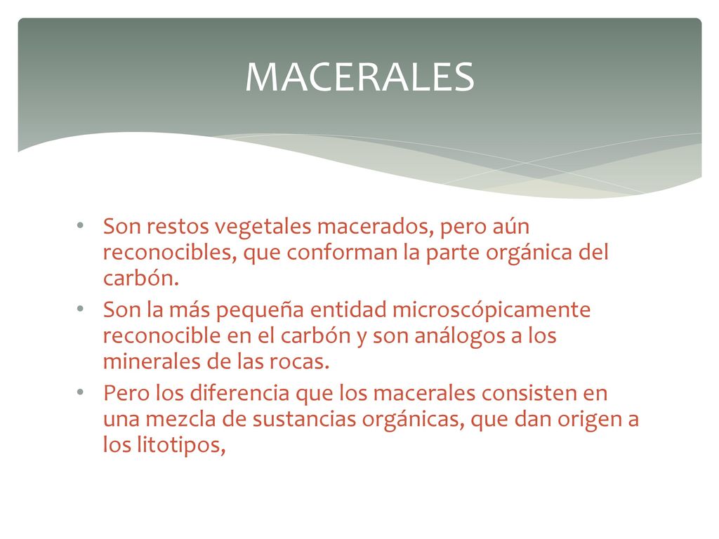 MACERALES Son restos vegetales macerados, pero aún reconocibles, que conforman la parte orgánica del carbón.