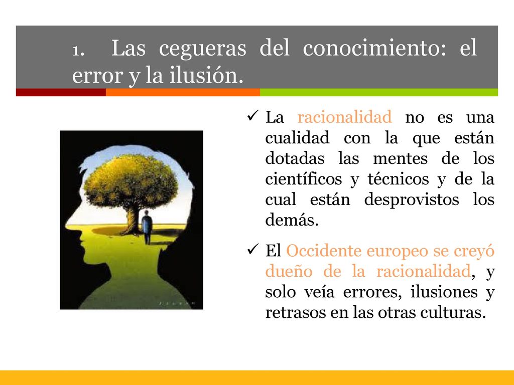 1. Las cegueras del conocimiento: el error y la ilusión.