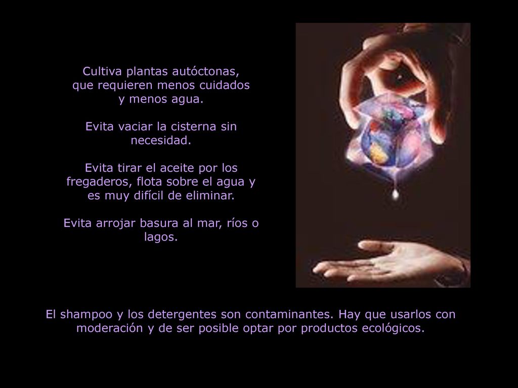 Cultiva plantas autóctonas, que requieren menos cuidados y menos agua.