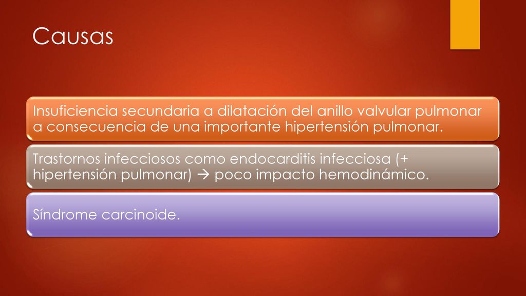 Causas Insuficiencia secundaria a dilatación del anillo valvular pulmonar a consecuencia de una importante hipertensión pulmonar.