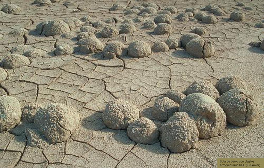 Bola de barro con clastos. Armored mud ball. (Flickriver)