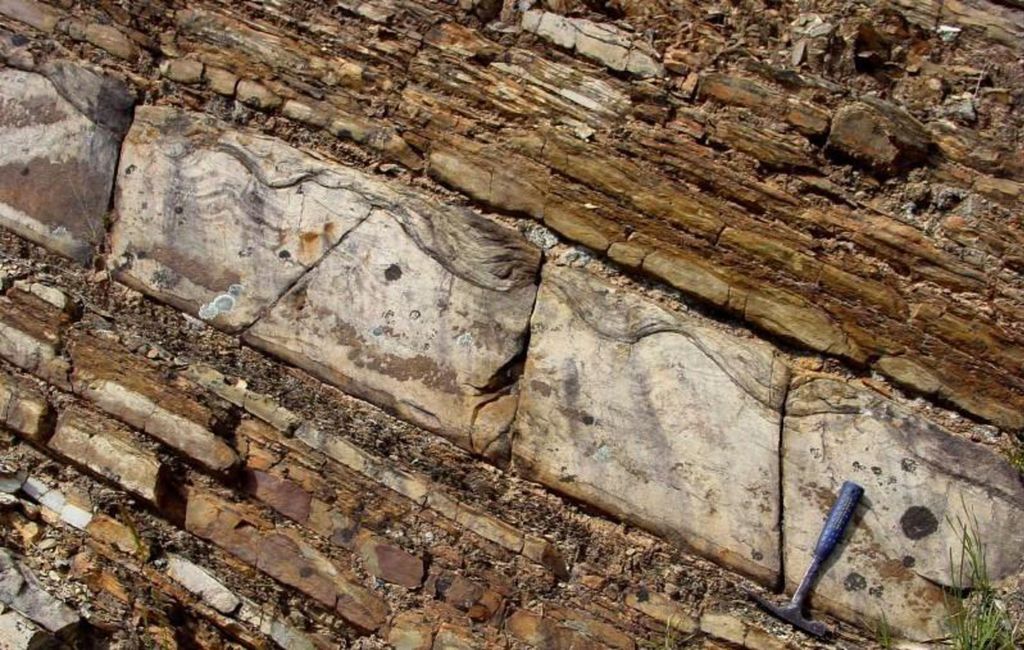 Caliza alodápica – de corrientes de turbidez. Allodapic limestone