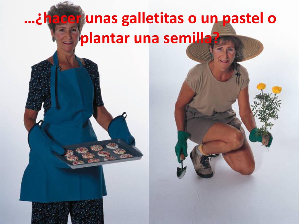 …¿hacer unas galletitas o un pastel o plantar una semilla