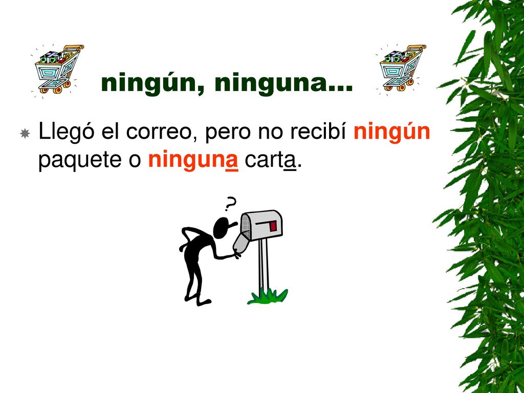 ningún, ninguna… Llegó el correo, pero no recibí ningún paquete o ninguna carta.