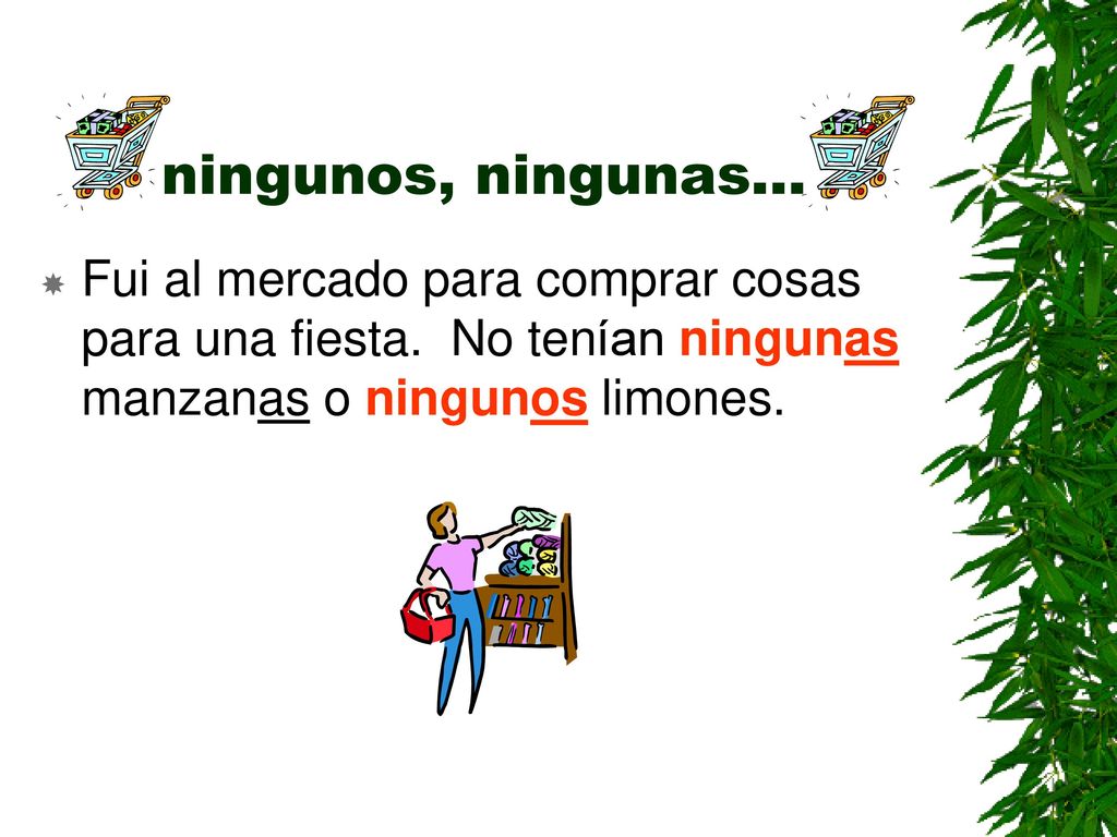 ningunos, ningunas… Fui al mercado para comprar cosas para una fiesta.