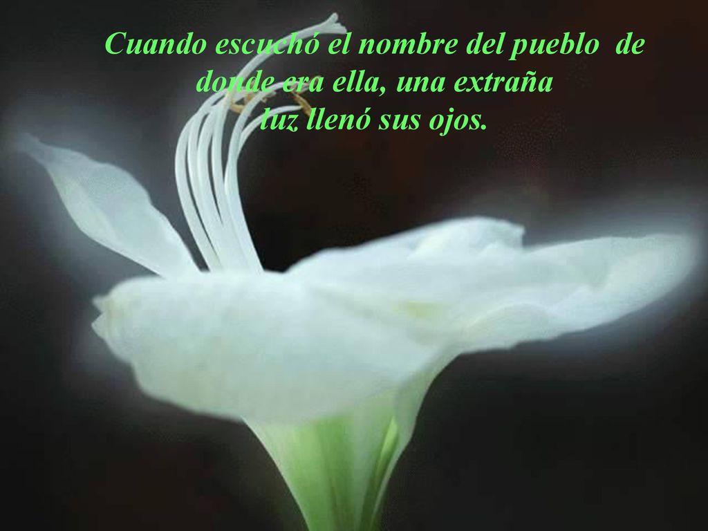 Cuando escuchó el nombre del pueblo de donde era ella, una extraña luz llenó sus ojos.