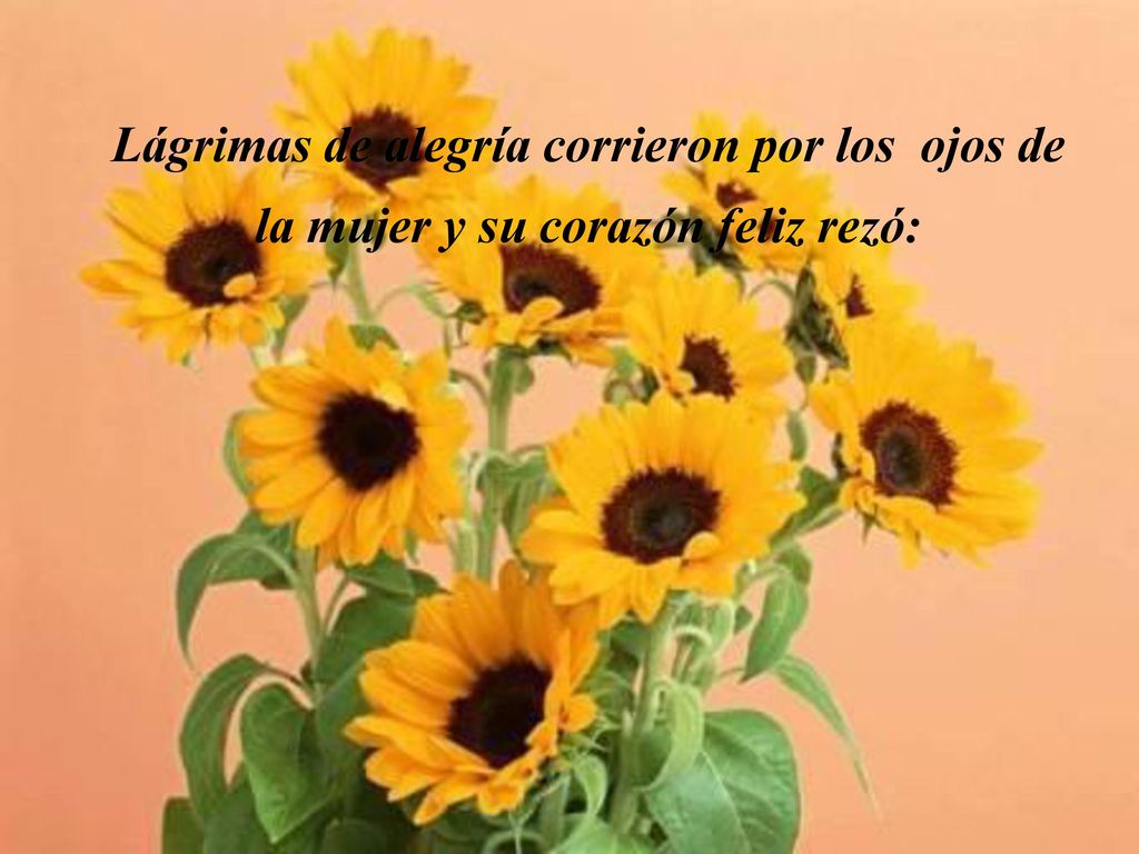 Lágrimas de alegría corrieron por los ojos de la mujer y su corazón feliz rezó: