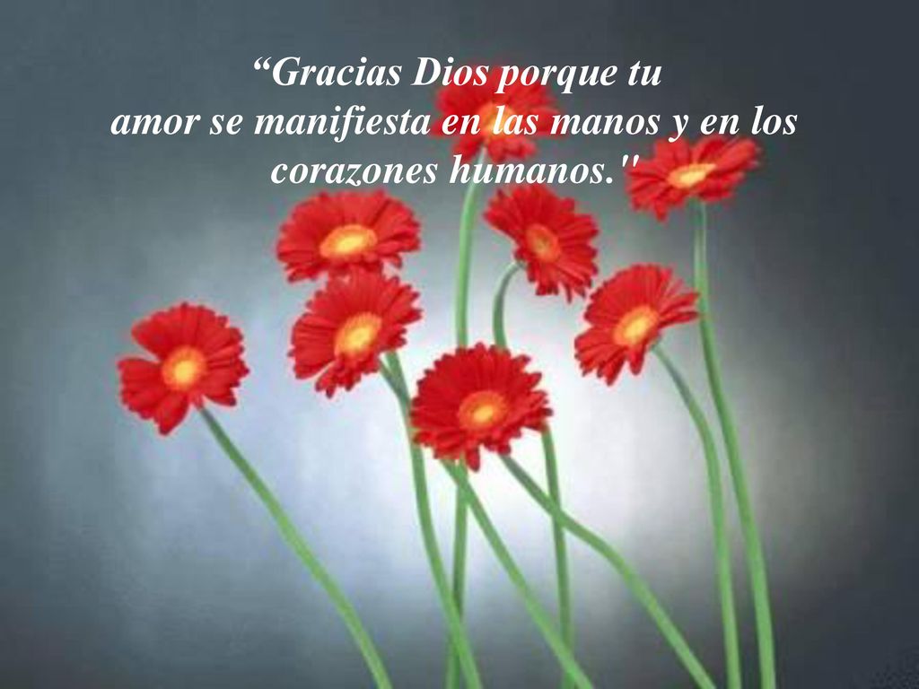Gracias Dios porque tu amor se manifiesta en las manos y en los corazones humanos.