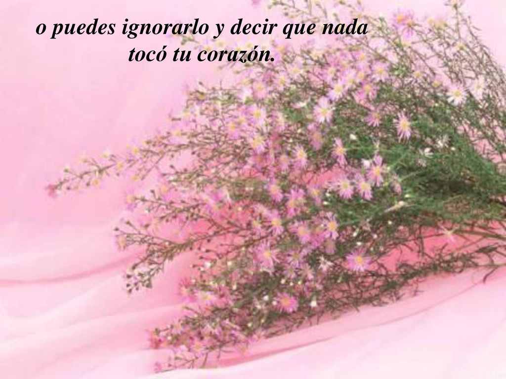 o puedes ignorarlo y decir que nada tocó tu corazón.