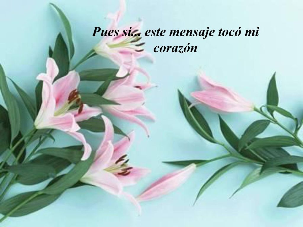 Pues si... este mensaje tocó mi corazón