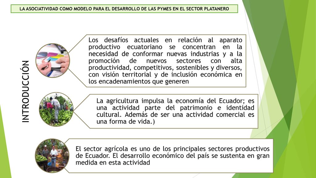 LA ASOCIATIVIDAD COMO MODELO PARA EL DESARROLLO DE LAS PYMES EN EL SECTOR PLATANERO