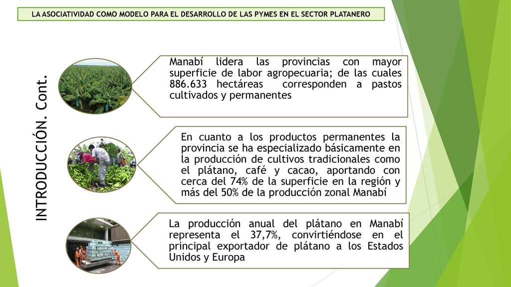 LA ASOCIATIVIDAD COMO MODELO PARA EL DESARROLLO DE LAS PYMES EN EL SECTOR PLATANERO