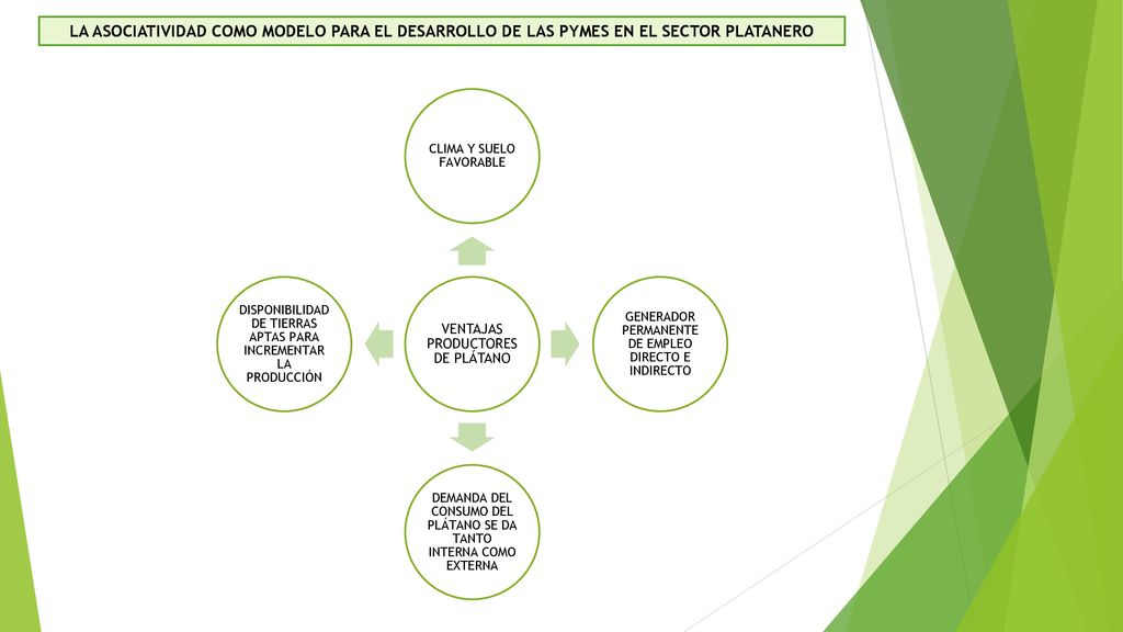 LA ASOCIATIVIDAD COMO MODELO PARA EL DESARROLLO DE LAS PYMES EN EL SECTOR PLATANERO