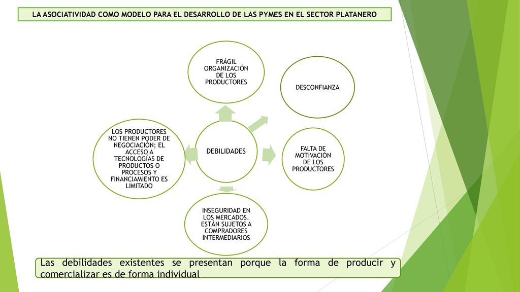 LA ASOCIATIVIDAD COMO MODELO PARA EL DESARROLLO DE LAS PYMES EN EL SECTOR PLATANERO