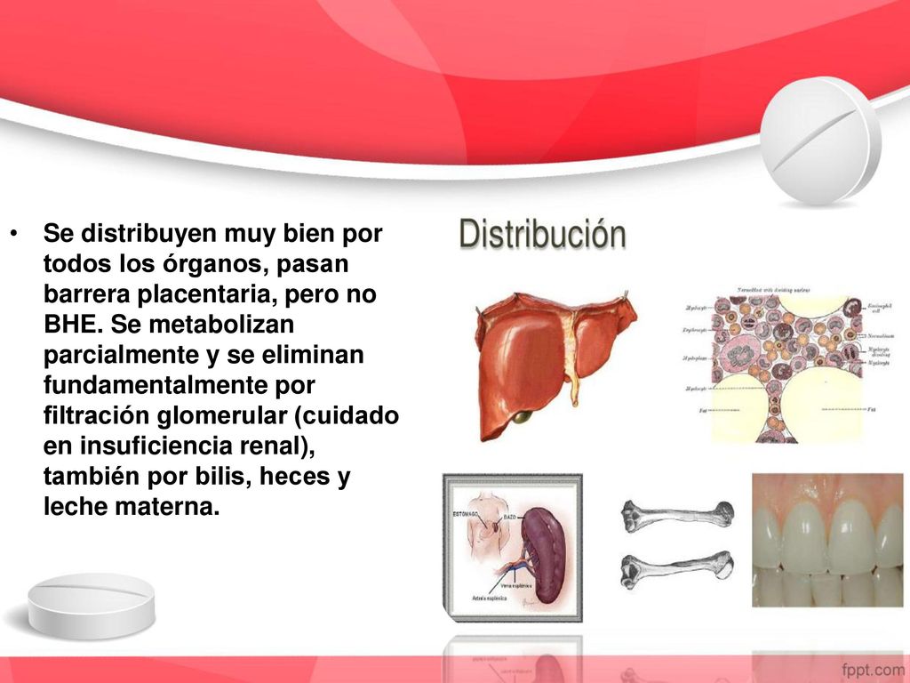 Se distribuyen muy bien por todos los órganos, pasan barrera placentaria, pero no BHE.