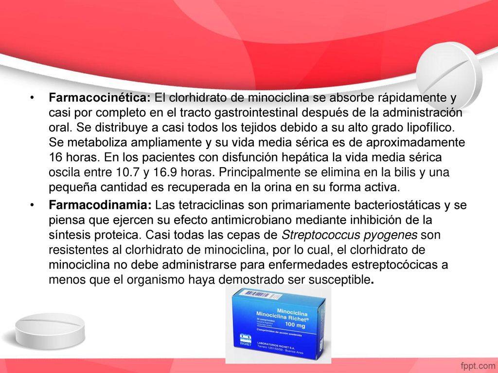 Farmacocinética: El clorhidrato de minociclina se absorbe rápidamente y casi por completo en el tracto gastrointestinal después de la administración oral. Se distribuye a casi todos los tejidos debido a su alto grado lipofílico. Se metaboliza ampliamente y su vida media sérica es de aproximadamente 16 horas. En los pacientes con disfunción hepática la vida media sérica oscila entre 10.7 y 16.9 horas. Principalmente se elimina en la bilis y una pequeña cantidad es recuperada en la orina en su forma activa.