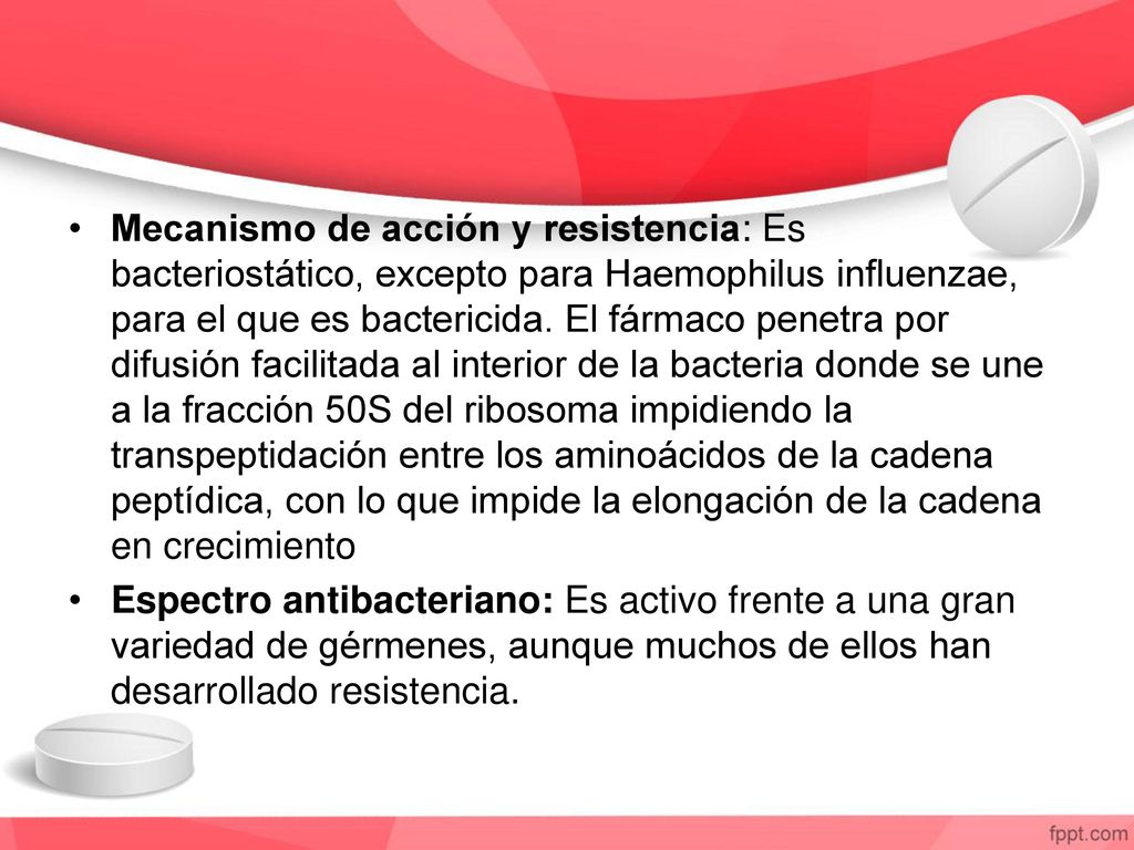 Mecanismo de acción y resistencia: Es bacteriostático, excepto para Haemophilus influenzae, para el que es bactericida. El fármaco penetra por difusión facilitada al interior de la bacteria donde se une a la fracción 50S del ribosoma impidiendo la transpeptidación entre los aminoácidos de la cadena peptídica, con lo que impide la elongación de la cadena en crecimiento