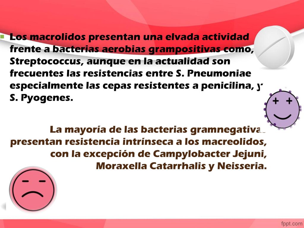 Los macrolidos presentan una elvada actividad frente a bacterias aerobias grampositivas como, Streptococcus, aunque en la actualidad son frecuentes las resistencias entre S. Pneumoniae especialmente las cepas resistentes a penicilina, y S. Pyogenes.