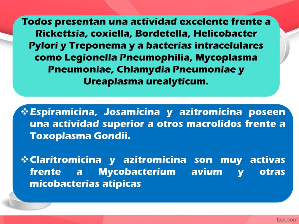 Todos presentan una actividad excelente frente a Rickettsia, coxiella, Bordetella, Helicobacter Pylori y Treponema y a bacterias intracelulares como Legionella Pneumophilia, Mycoplasma Pneumoniae, Chlamydia Pneumoniae y Ureaplasma urealyticum.