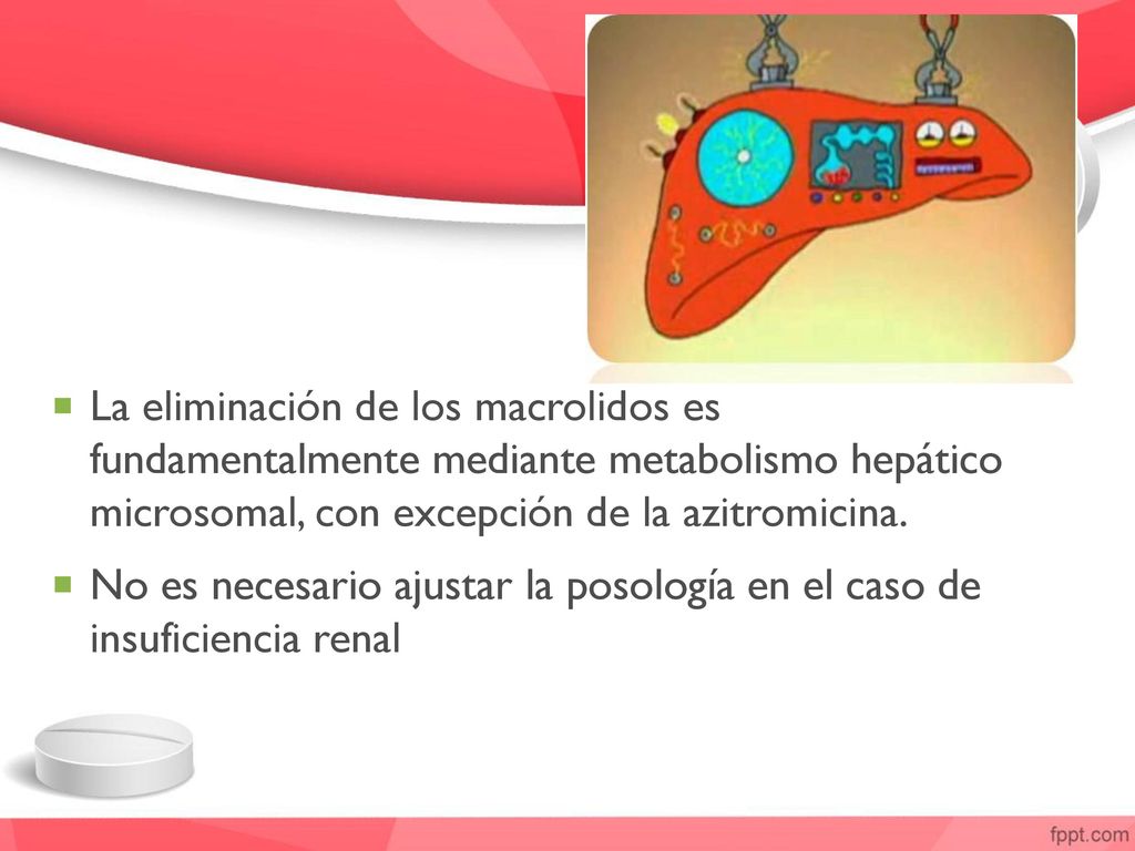La eliminación de los macrolidos es fundamentalmente mediante metabolismo hepático microsomal, con excepción de la azitromicina.