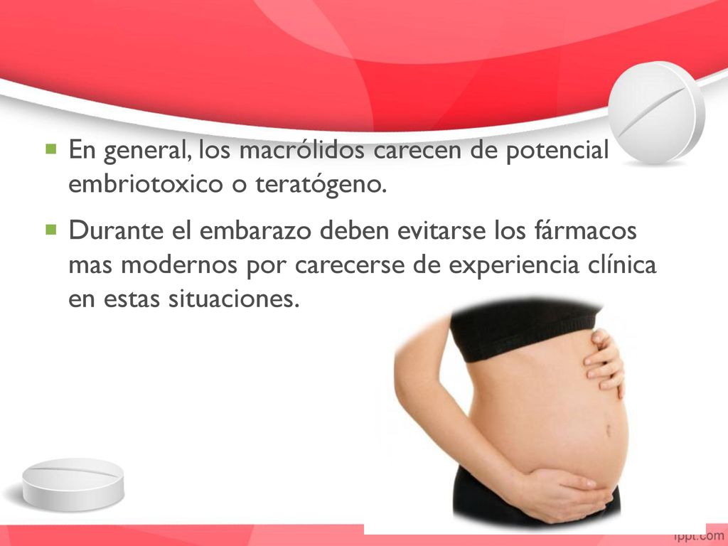En general, los macrólidos carecen de potencial embriotoxico o teratógeno.