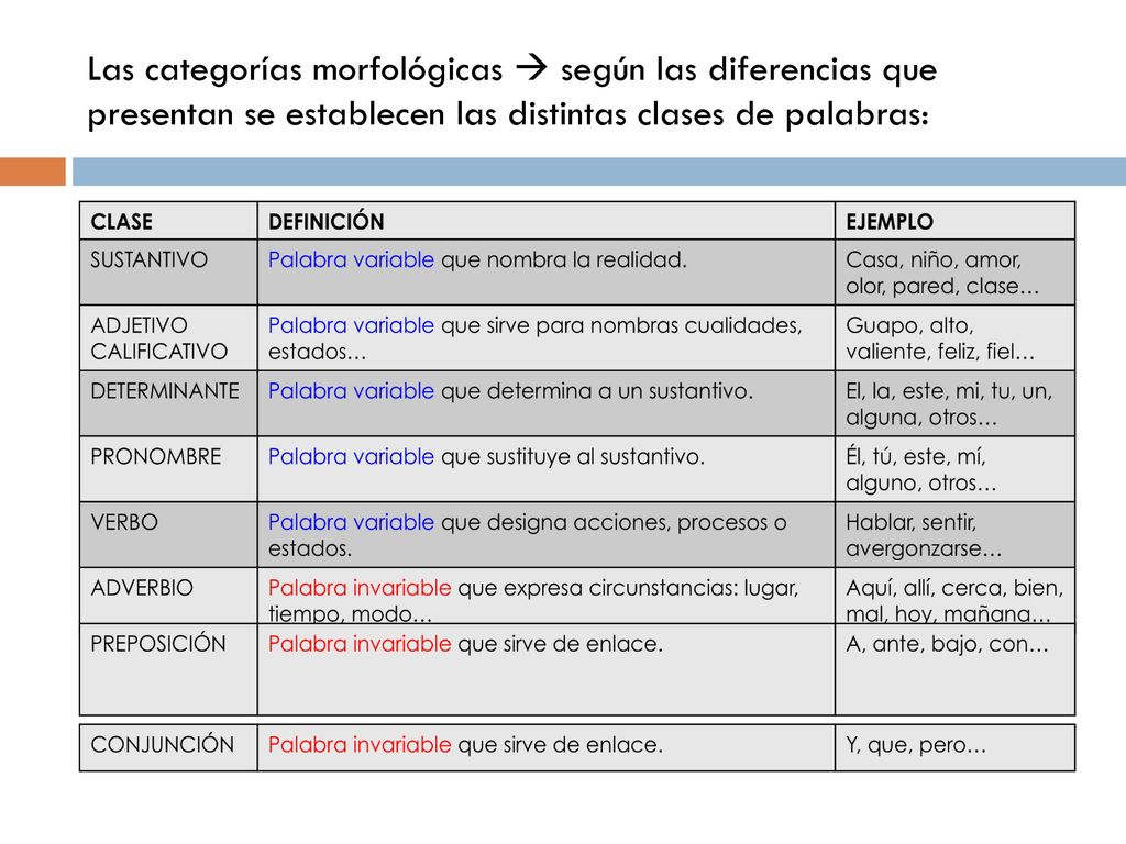 Las categorías morfológicas  según las diferencias que presentan se establecen las distintas clases de palabras: