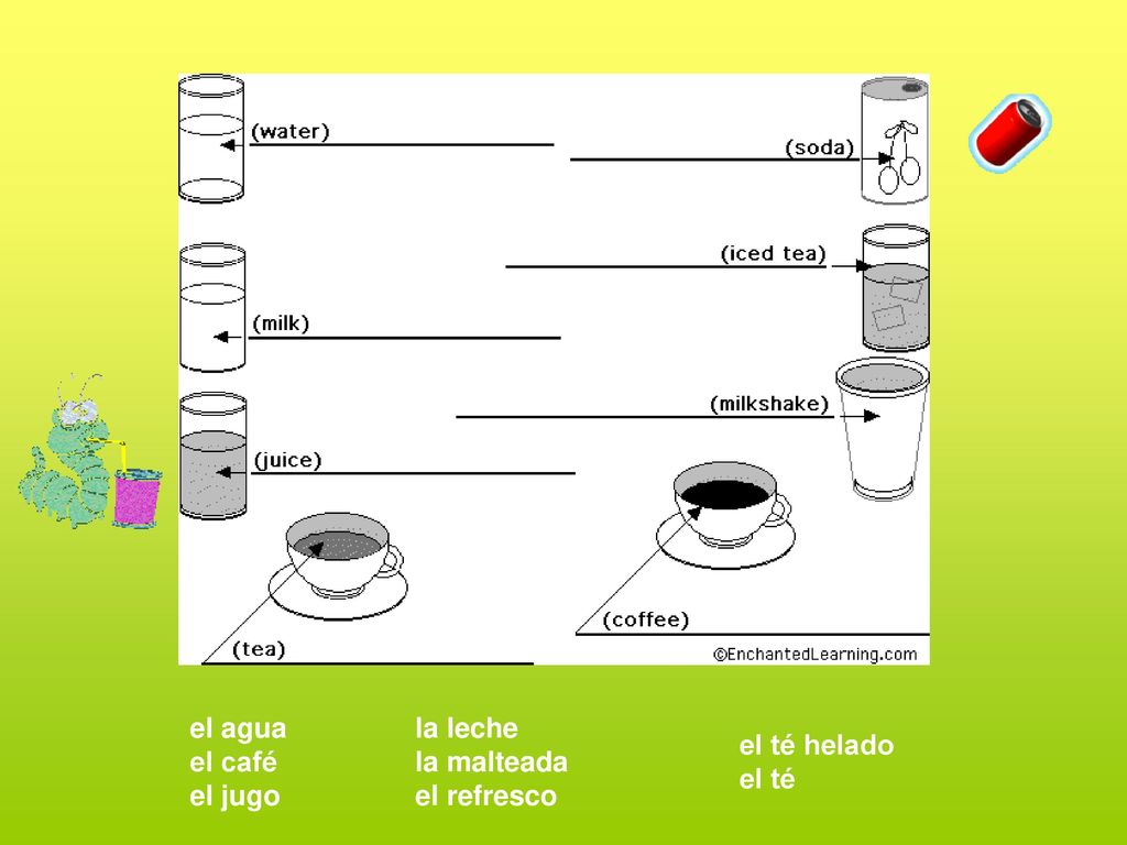 el agua el café el jugo la leche la malteada el refresco el té helado el té