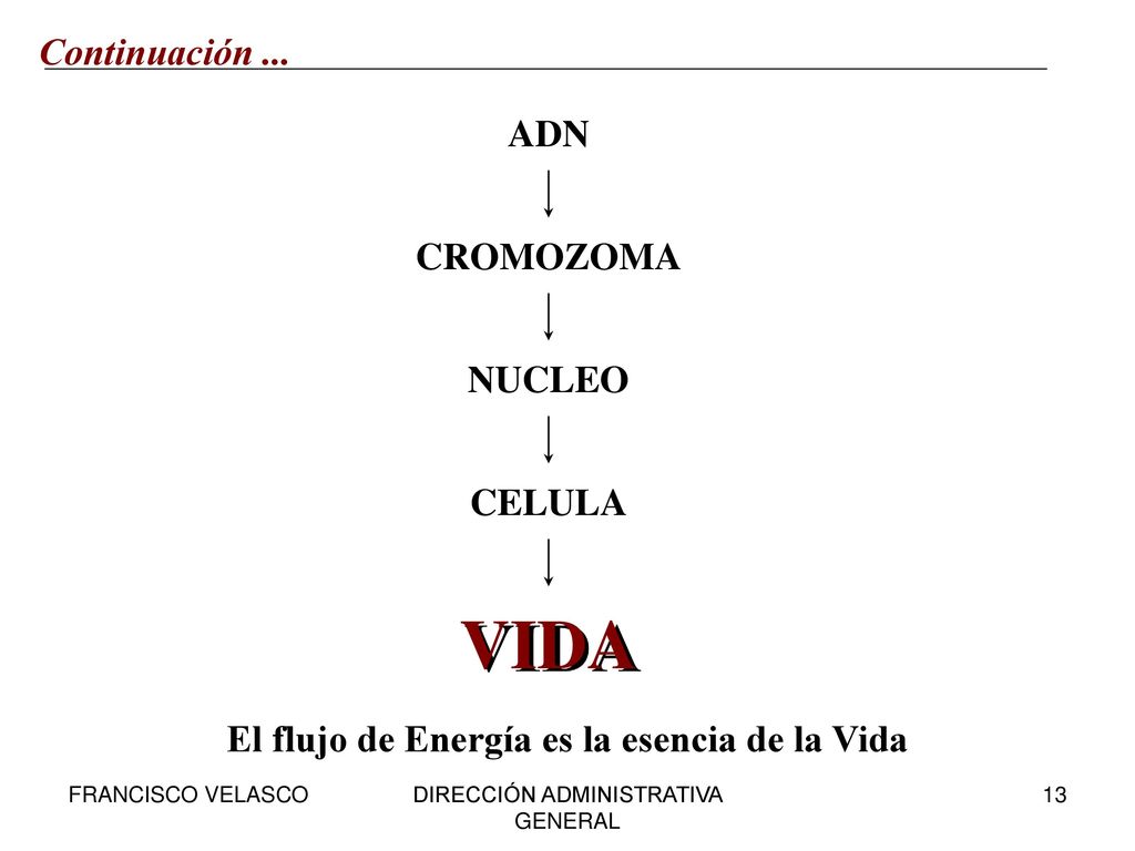 El flujo de Energía es la esencia de la Vida