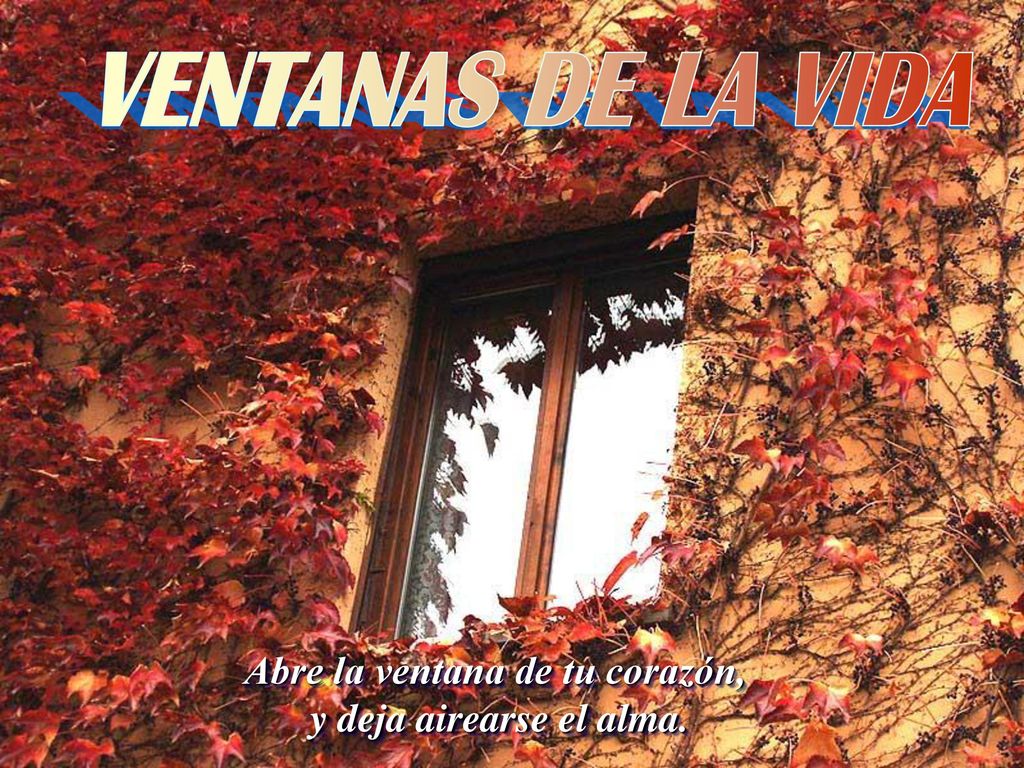 Abre la ventana de tu corazón, y deja airearse el alma.