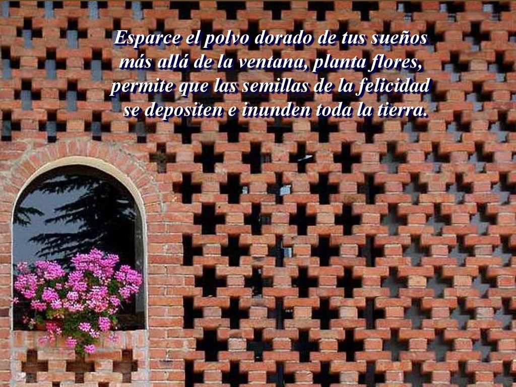 Esparce el polvo dorado de tus sueños más allá de la ventana, planta flores, permite que las semillas de la felicidad se depositen e inunden toda la tierra.
