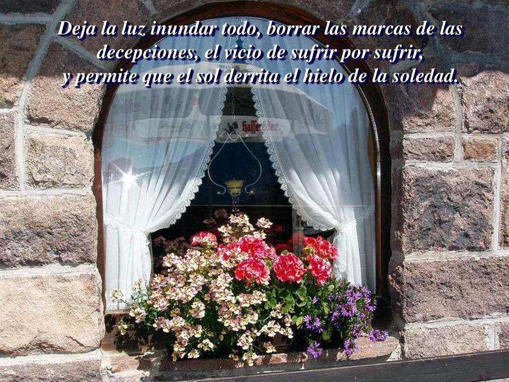 Deja la luz inundar todo, borrar las marcas de las decepciones, el vicio de sufrir por sufrir, y permite que el sol derrita el hielo de la soledad.