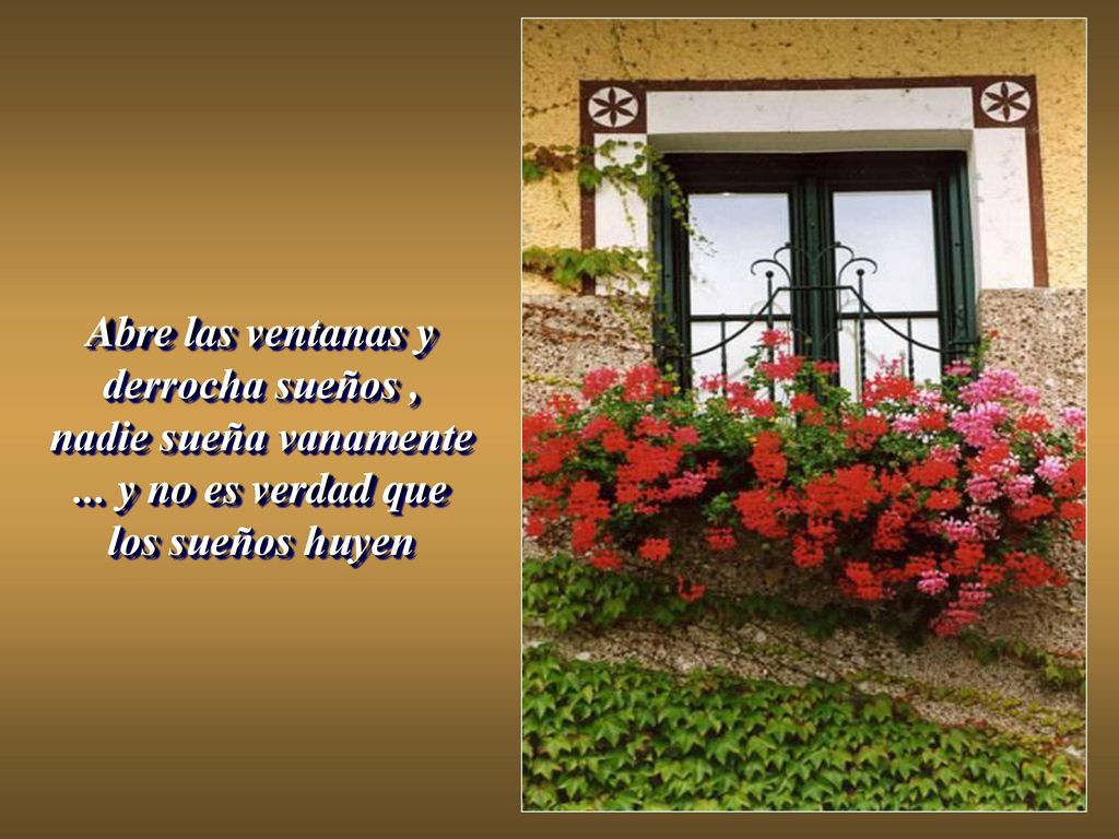 Abre las ventanas y derrocha sueños , nadie sueña vanamente