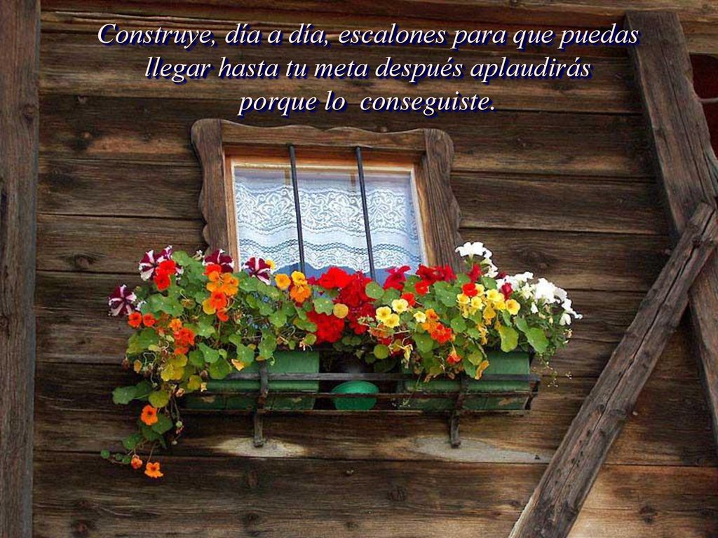 Construye, día a día, escalones para que puedas llegar hasta tu meta después aplaudirás porque lo conseguiste.