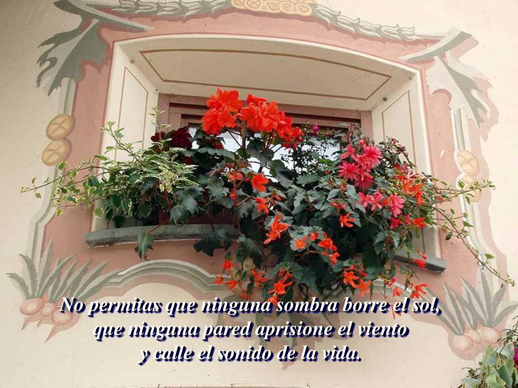 No permitas que ninguna sombra borre el sol, que ninguna pared aprisione el viento y calle el sonido de la vida.