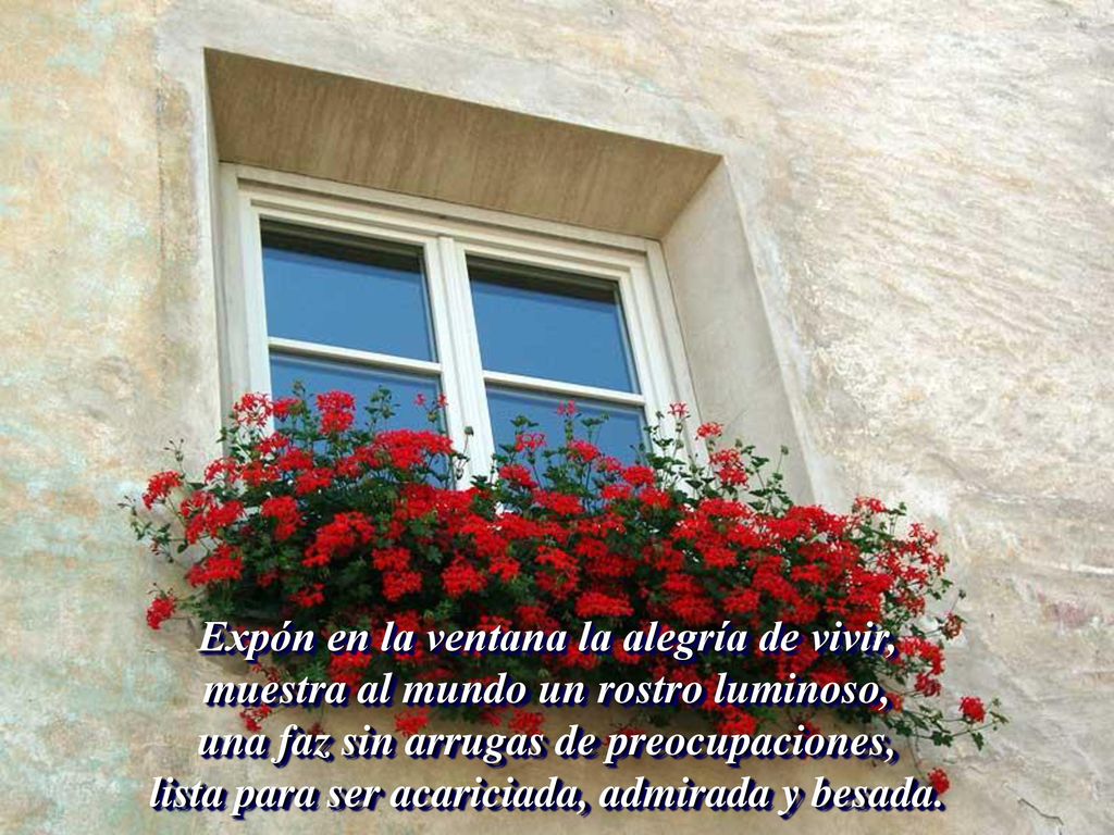 Expón en la ventana la alegría de vivir, muestra al mundo un rostro luminoso, una faz sin arrugas de preocupaciones, lista para ser acariciada, admirada y besada.