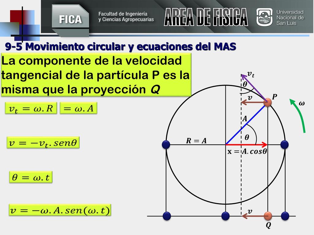AREA DE FISICA 9-5 Movimiento circular y ecuaciones del MAS.