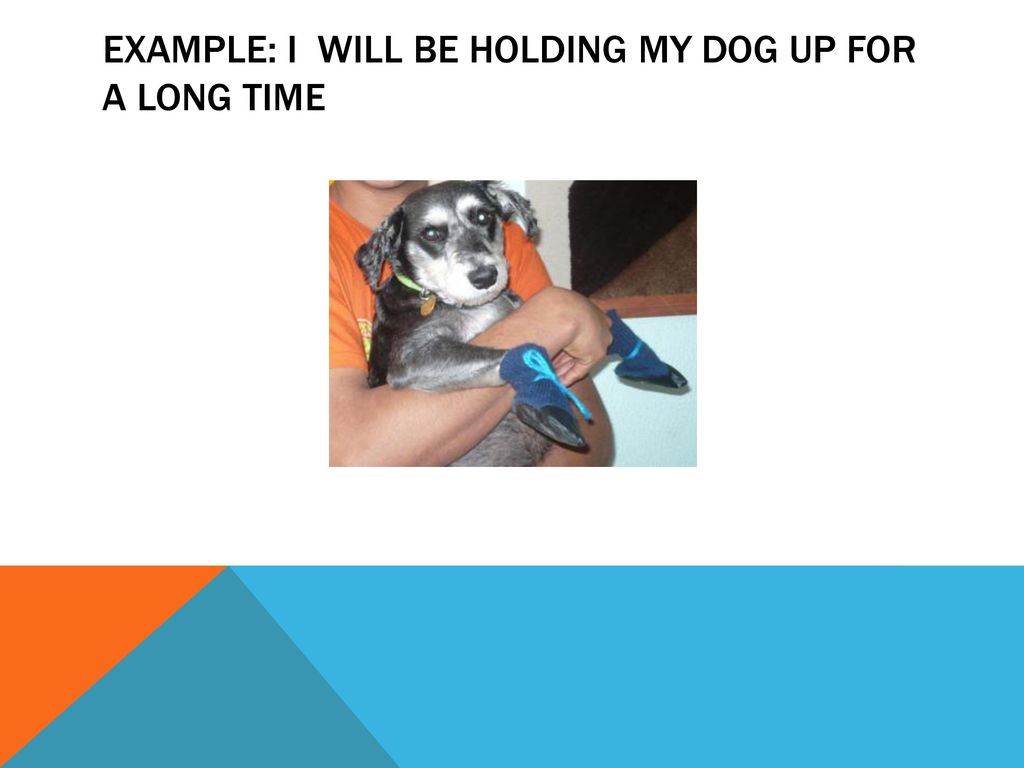 Example: I will be holding my dog up for a long time