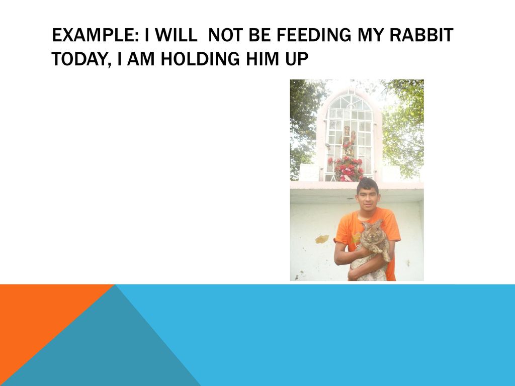 Example: I will not be feeding my rabbit today, i am holding him up