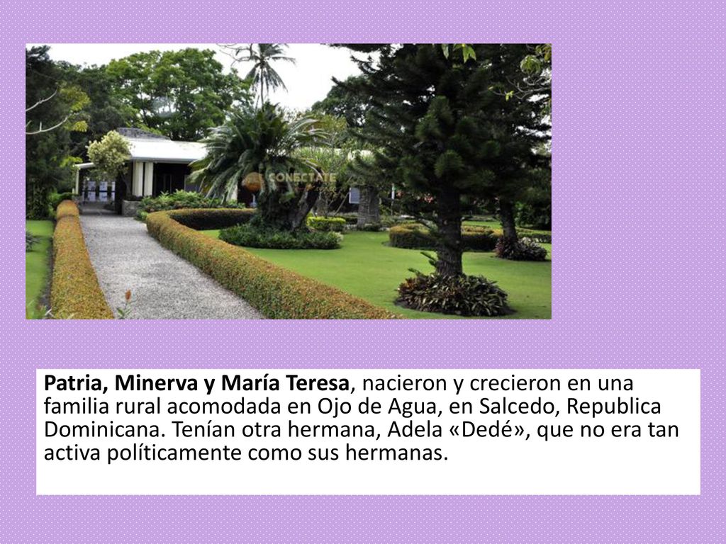 Patria, Minerva y María Teresa, nacieron y crecieron en una familia rural acomodada en Ojo de Agua, en Salcedo, Republica Dominicana.