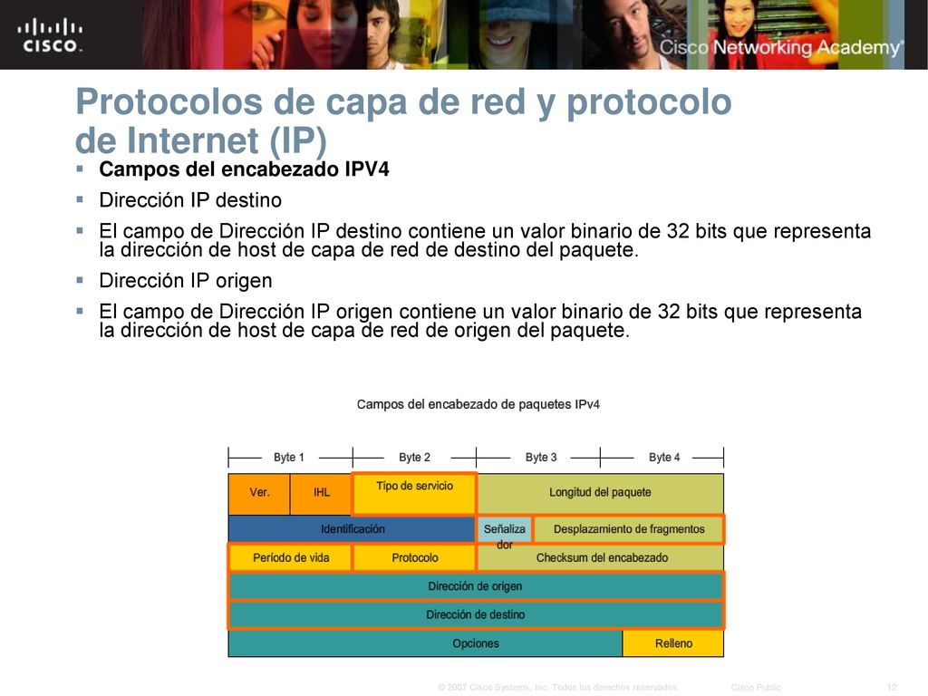 Protocolos de capa de red y protocolo de Internet (IP)