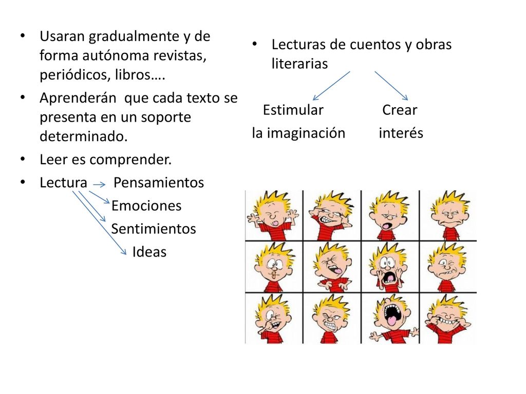 Usaran gradualmente y de forma autónoma revistas, periódicos, libros….