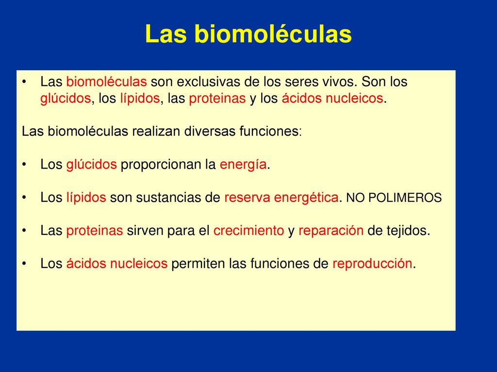 Las biomoléculas Las biomoléculas son exclusivas de los seres vivos. Son los glúcidos, los lípidos, las proteinas y los ácidos nucleicos.
