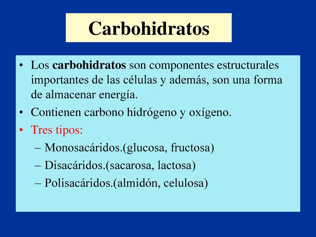 Carbohidratos Los carbohidratos son componentes estructurales importantes de las células y además, son una forma de almacenar energía.